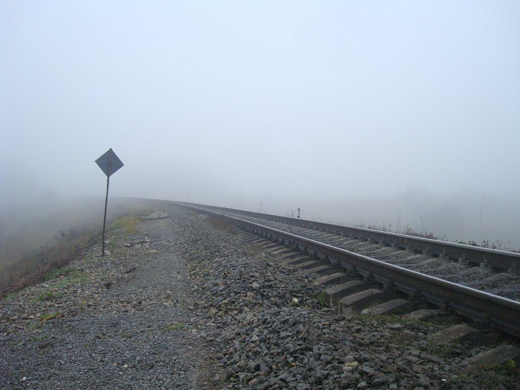 Томашівка з panoramio.com - Томашівка