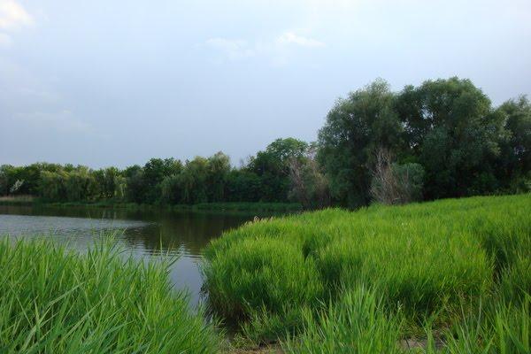 Кліщіївка з panoramio.com - Клещиевка