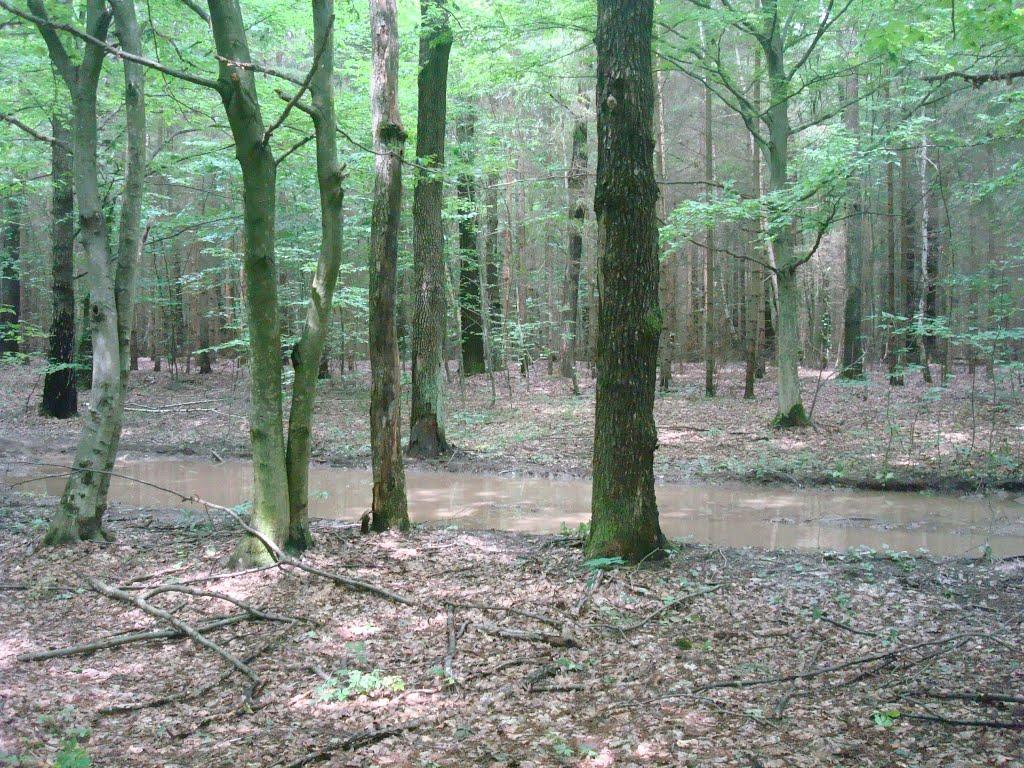 Майдан-Вербецький з panoramio.com - Майдан-Вербецький