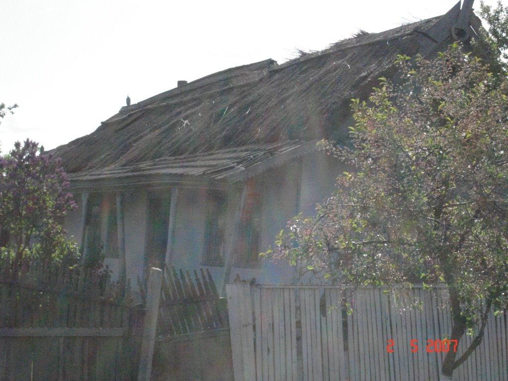 Приозерне з panoramio.com - Приозерне