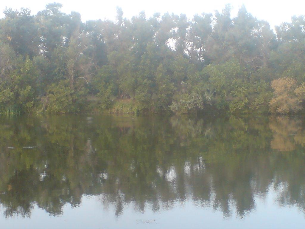 Червоногригорівка з panoramio.com - Червоногригоровка