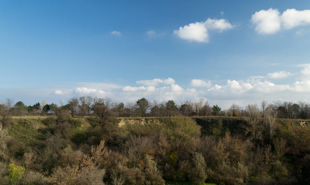 Канівське з panoramio.com - Каневское