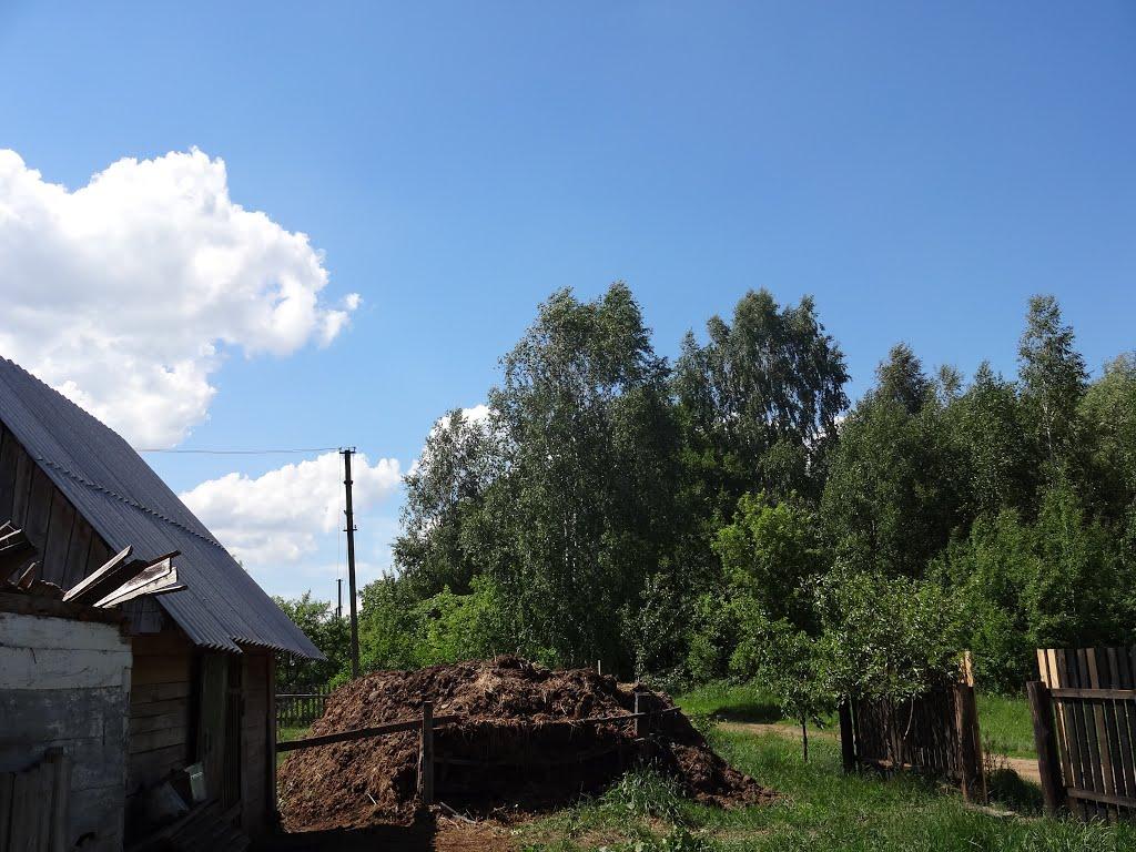 Курганці з panoramio.com - Курганцы