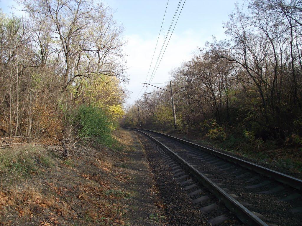 Асланове з panoramio.com - Асланове