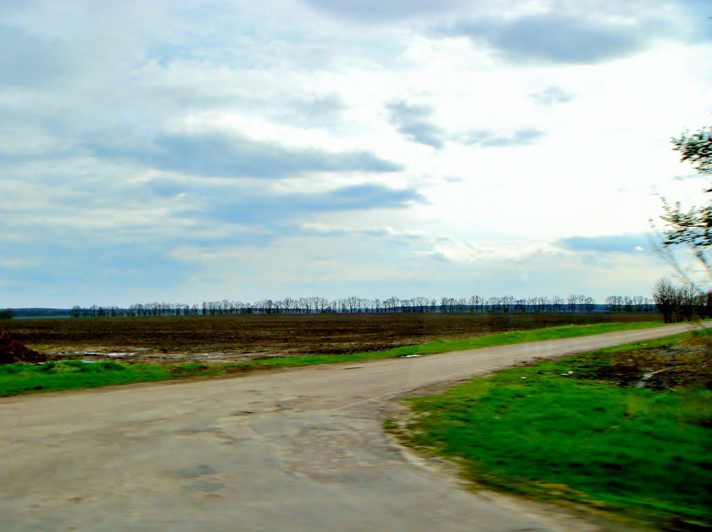 Салиха з panoramio.com - Салиха