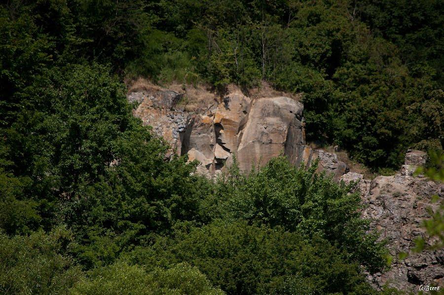 Буки з panoramio.com - Буки