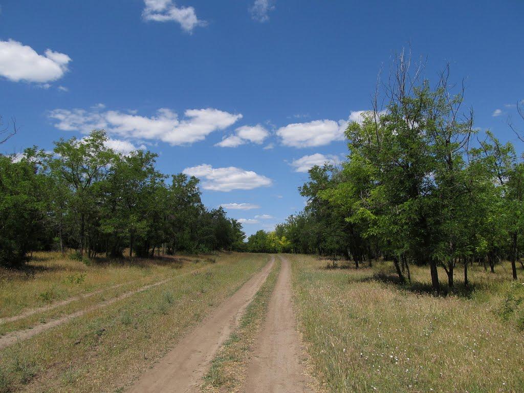 Осокорівка з panoramio.com - Осокоровка