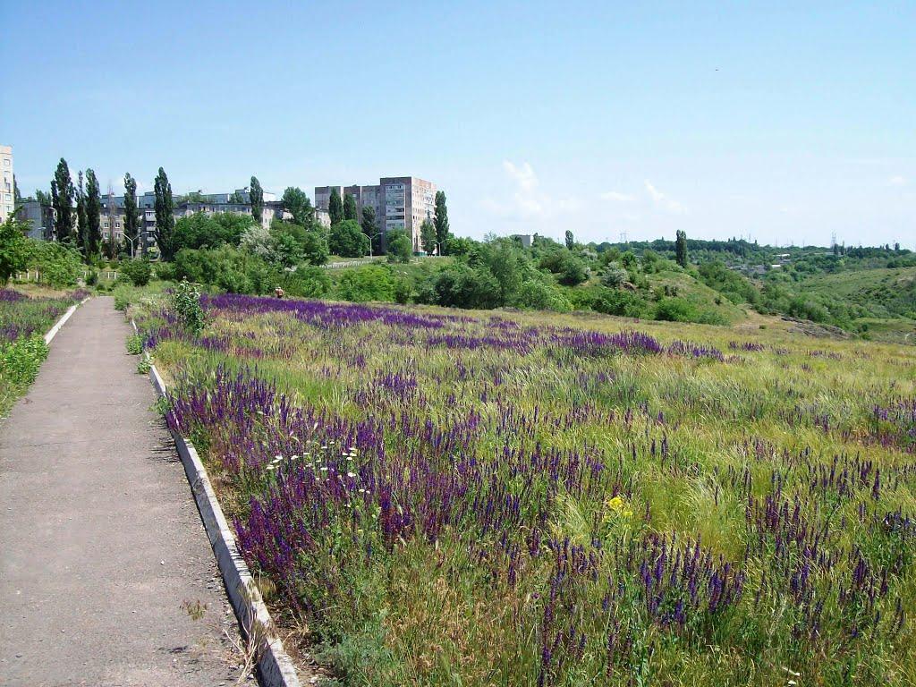 Южноукраїнськ з panoramio.com - Южноукраїнськ