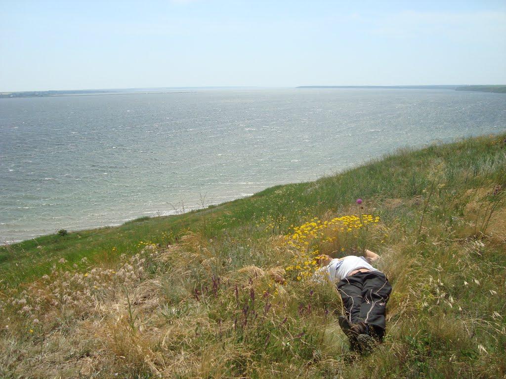 Пшонянове з panoramio.com - Пшонянове