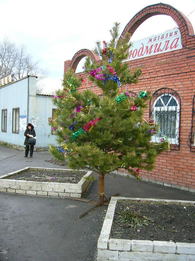 Троїцьке з panoramio.com - Троицкое