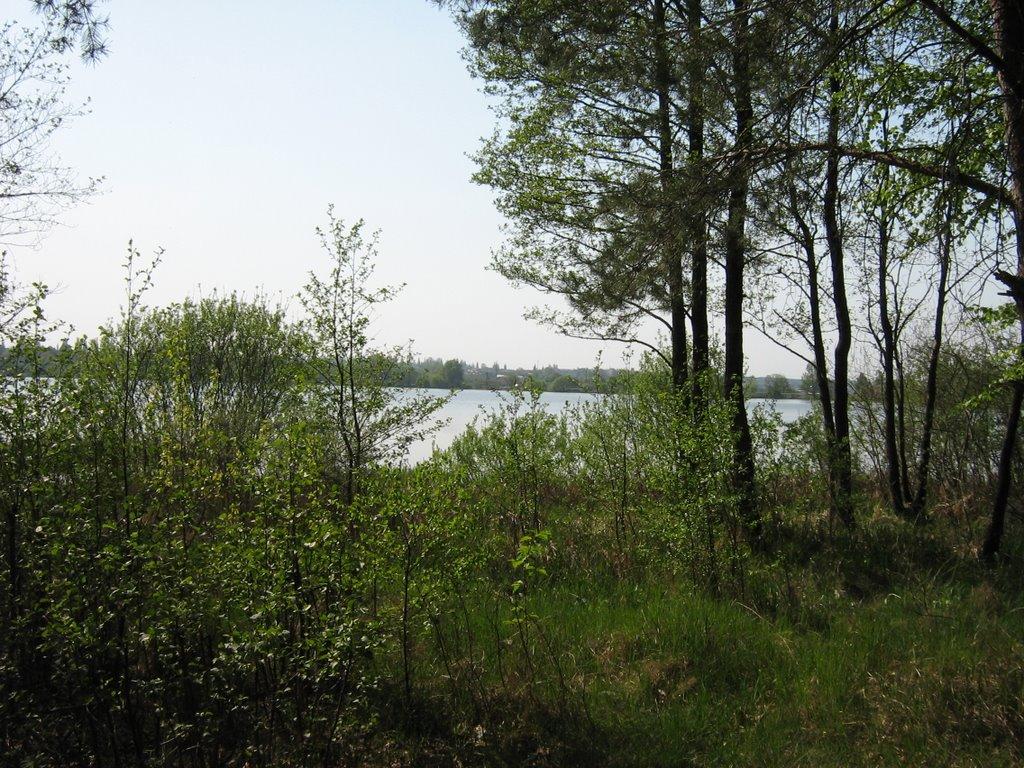 Забір'я з panoramio.com - Забір'я