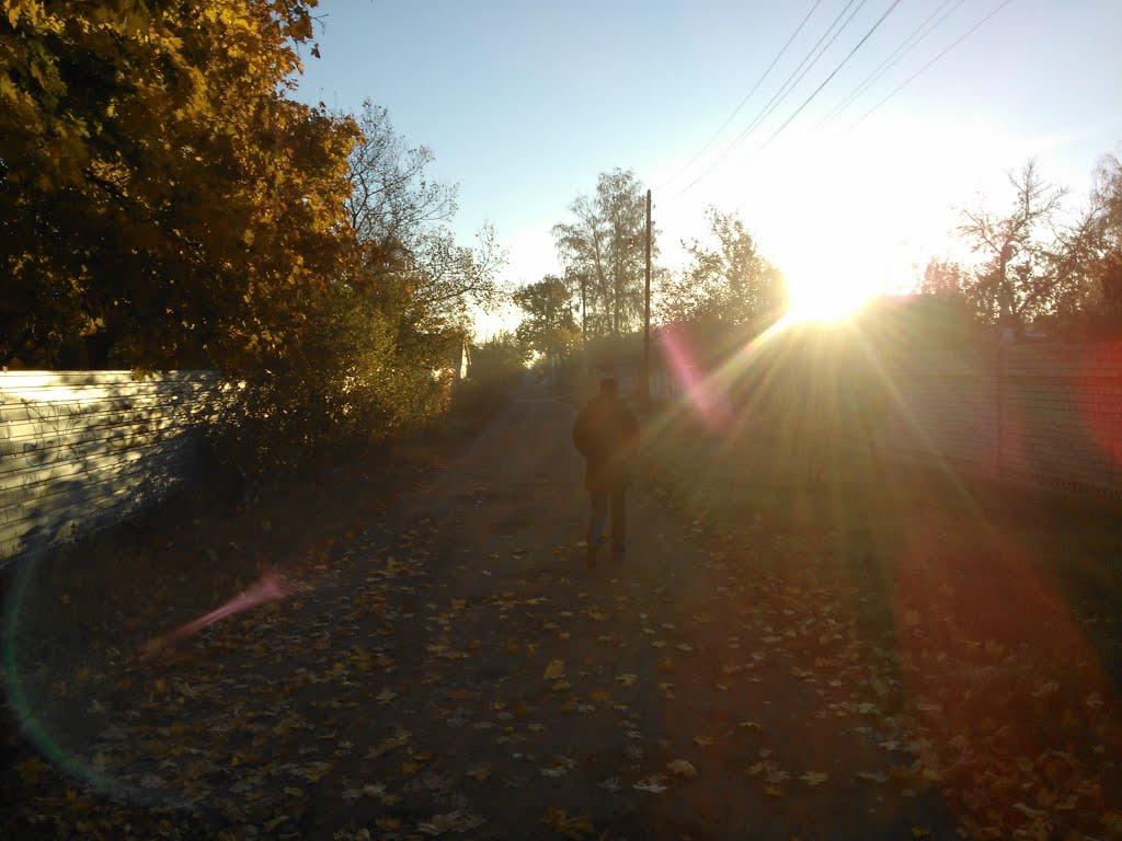 Покотилівка з panoramio.com - Покотиловка