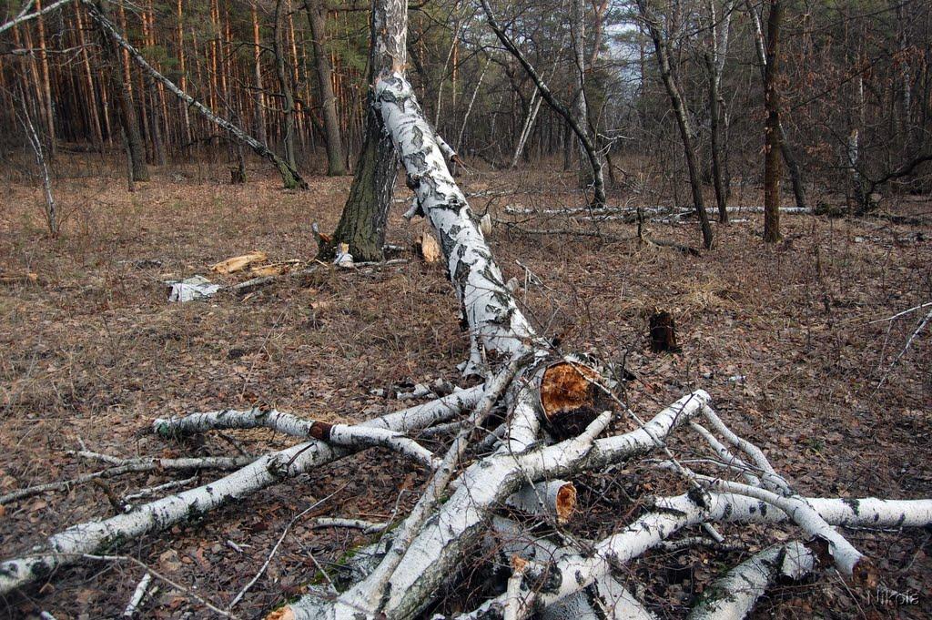 Муратове з panoramio.com - Муратово