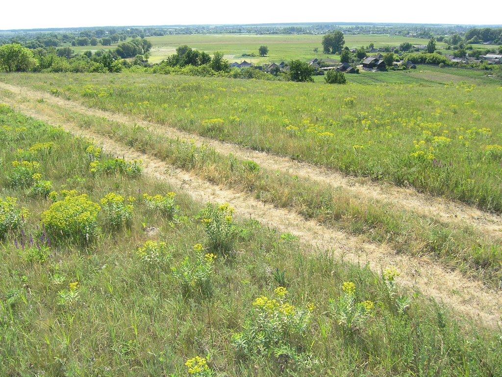 Торське з panoramio.com - Торське