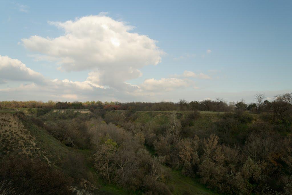 Канівське з panoramio.com - Каневское