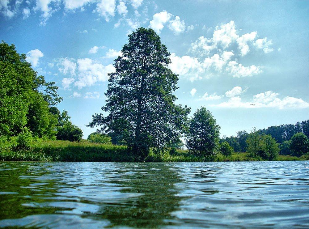 Троянів з panoramio.com