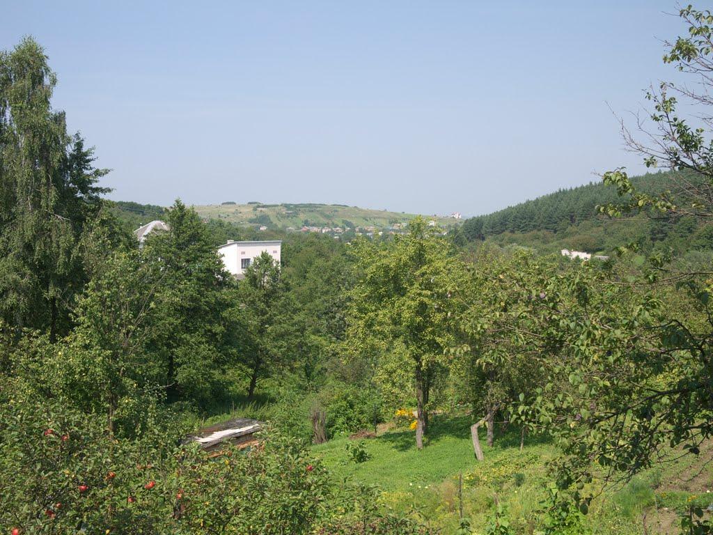Старе Село з panoramio.com - Старое Село