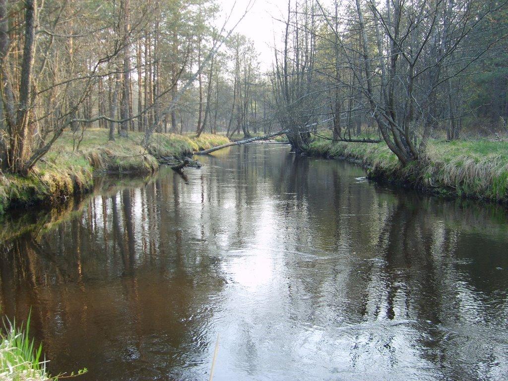 Рудня-Перганська з panoramio.com - Rudnya-Perganska