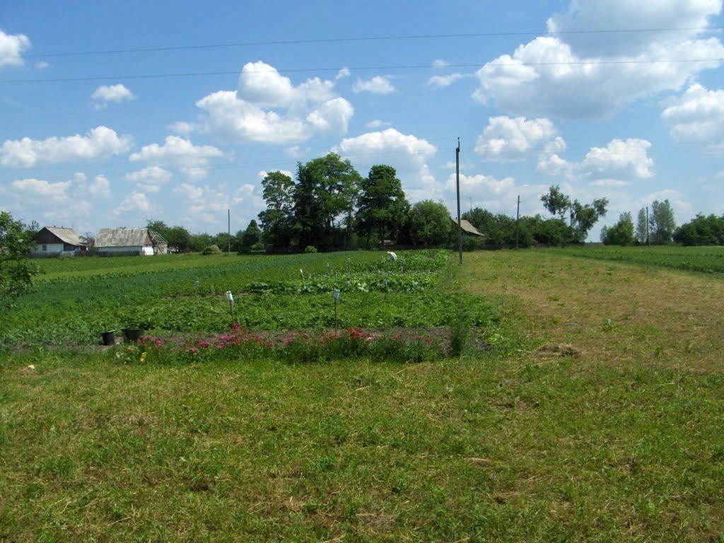 Врублівка з panoramio.com - Врублівка