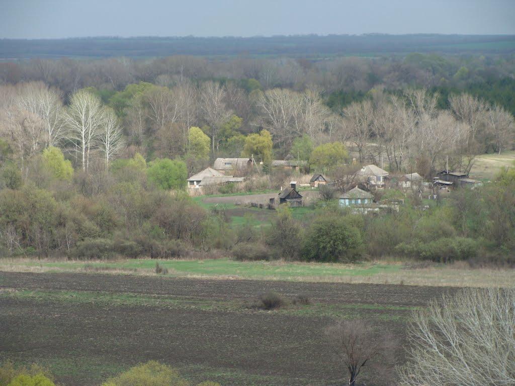 Гарасимівка з panoramio.com - Гарасимовка