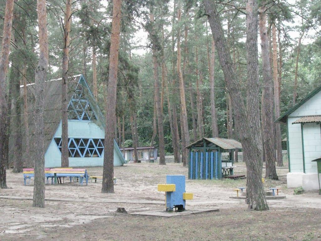 Богородичне з panoramio.com - Богородичное