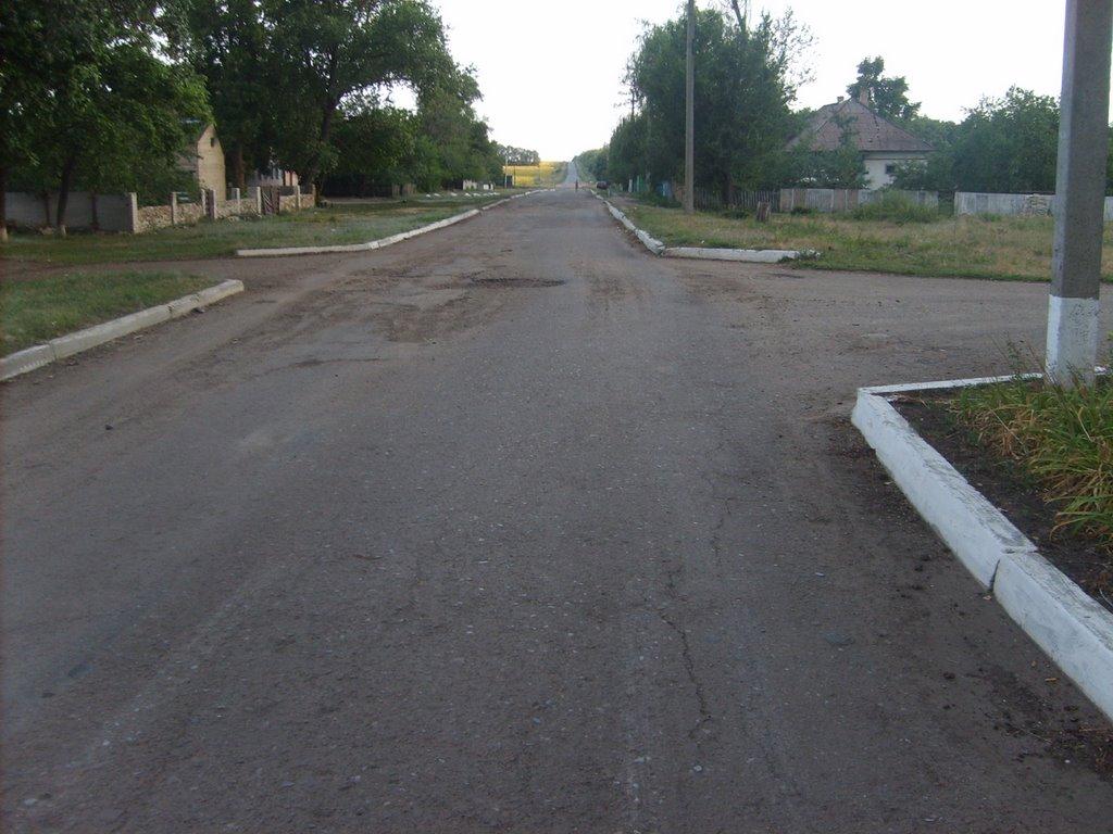 Лісна Поляна з panoramio.com - Лесная Поляна