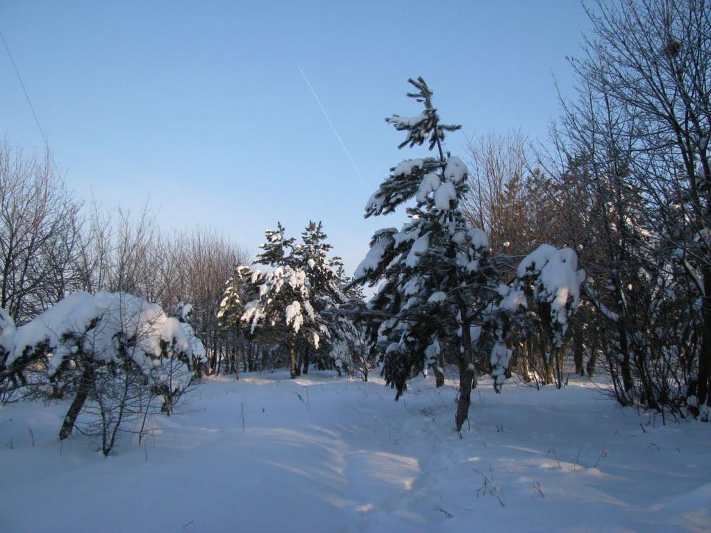 Доманівка з panoramio.com - Доманевка