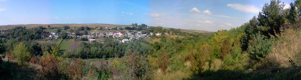 Ворвулинці з panoramio.com - Ворвулинцы