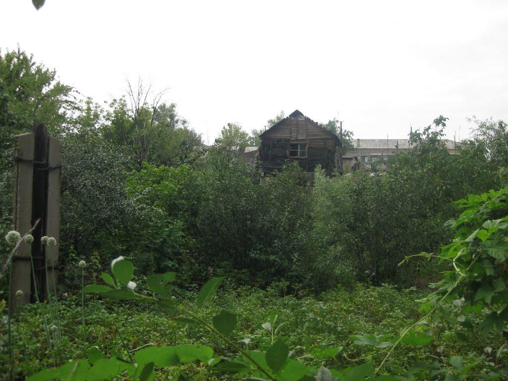 Центральний з panoramio.com - Центральный