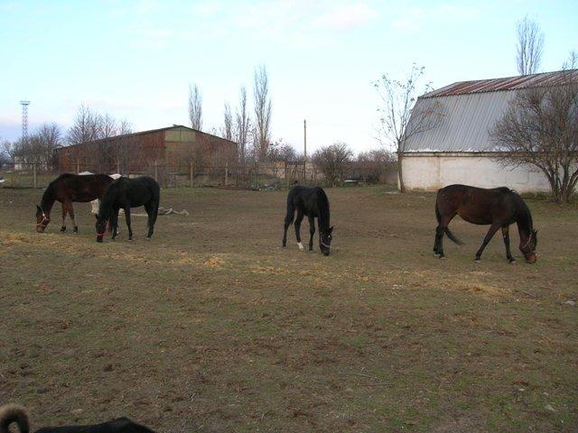 Гвардійське з panoramio.com - Гвардейское