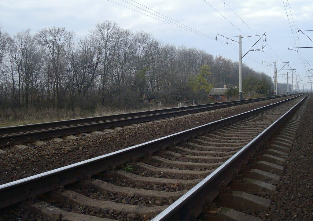 Порохня з panoramio.com - Порохня