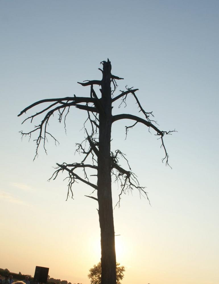 Угнів з panoramio.com - Угнев