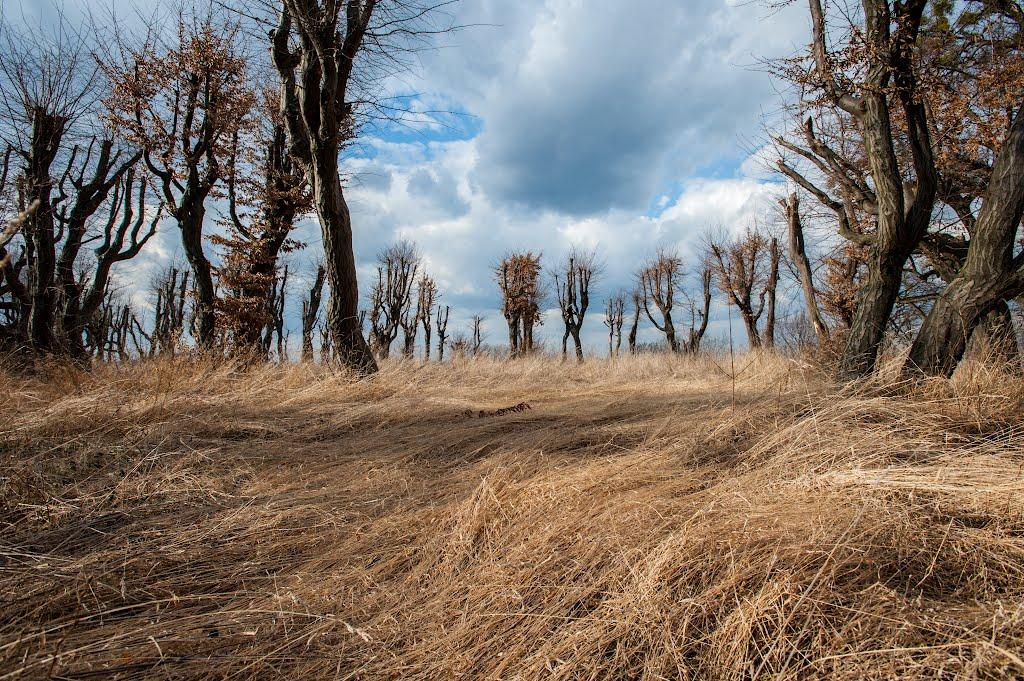 Підгірці з panoramio.com - Подгорцы