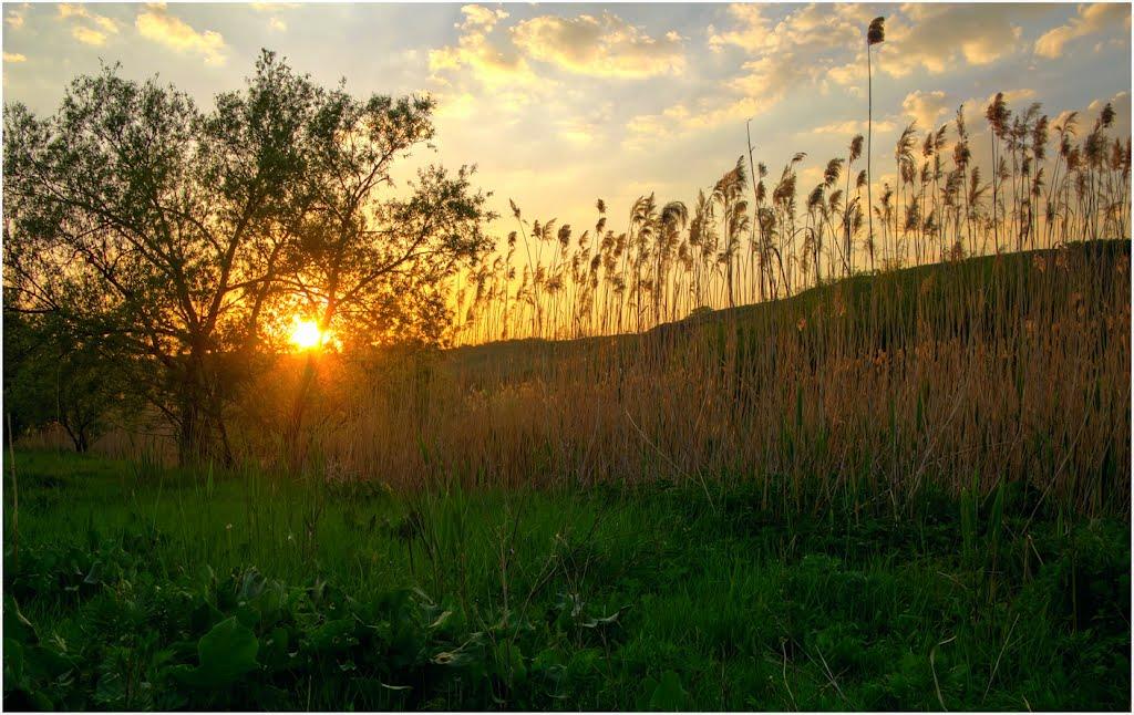Седнівка з panoramio.com - Седнівка