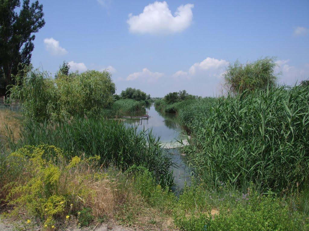 Солонці з panoramio.com - Солонці