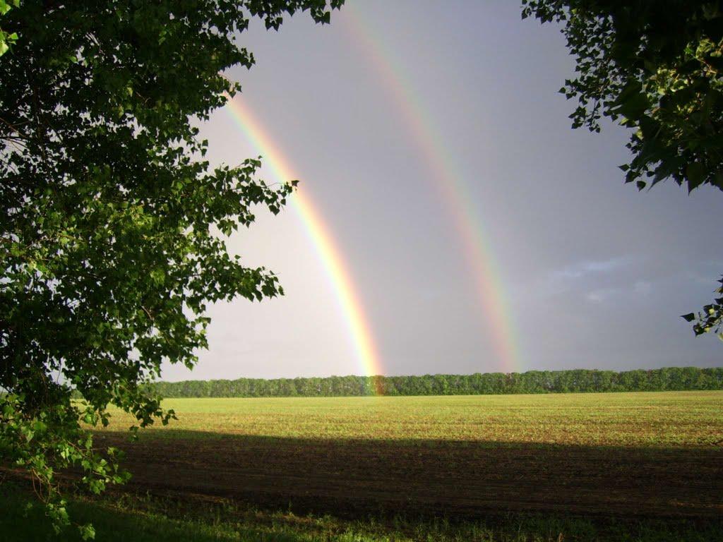 Лісна Поляна з panoramio.com - Лесная Поляна