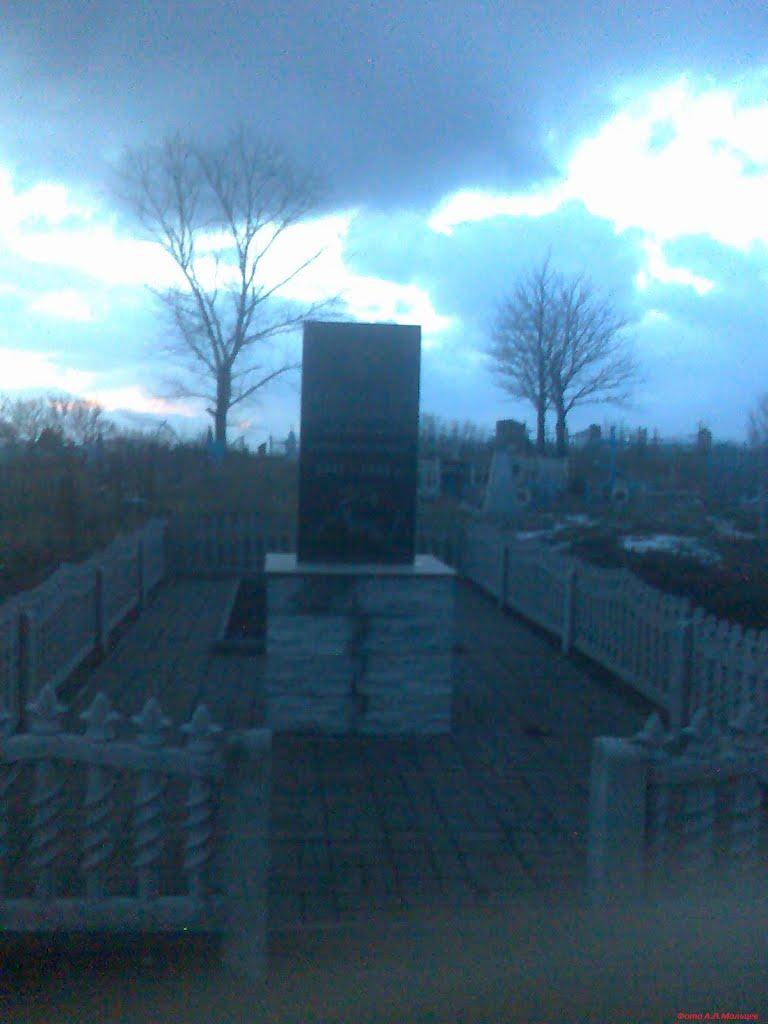 Новофедорівка з panoramio.com - Новофедорівка