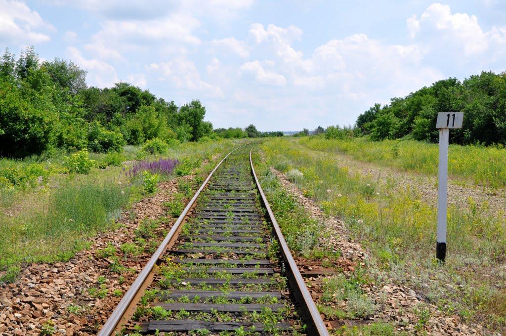 Виїмка з panoramio.com - Виїмка