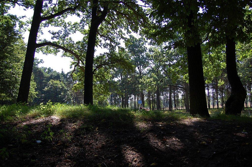 Володимирець з panoramio.com - Volodymyrets