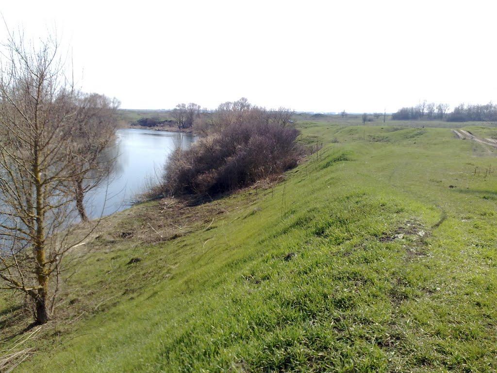 Кочеток з panoramio.com - Кочеток