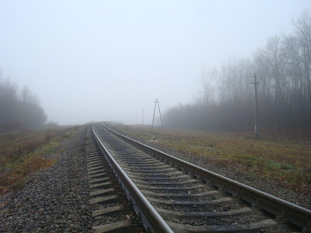 Томашівка з panoramio.com - Томашівка