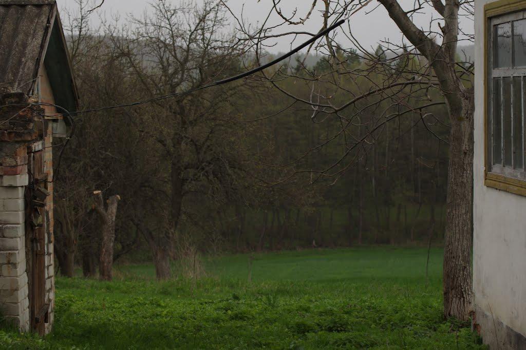 Лубенці з panoramio.com - Лубенцы