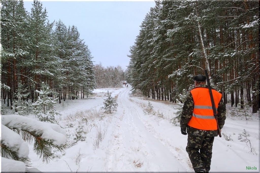 Осколонівка з panoramio.com - Осколонівка