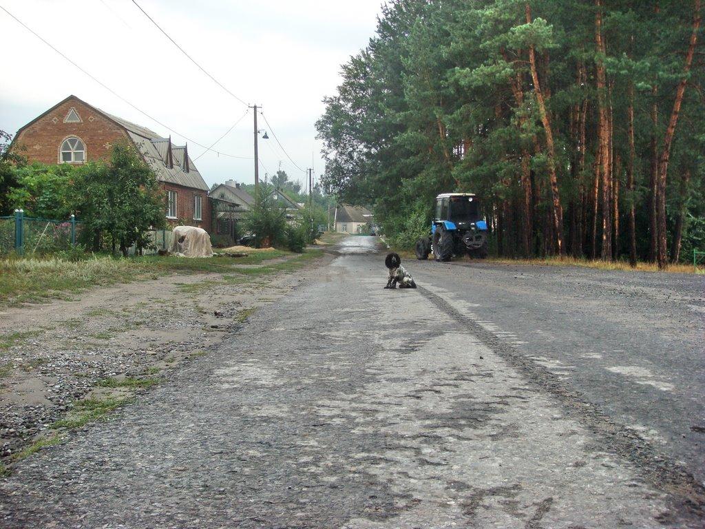 Ямпіль з panoramio.com - Ямполь