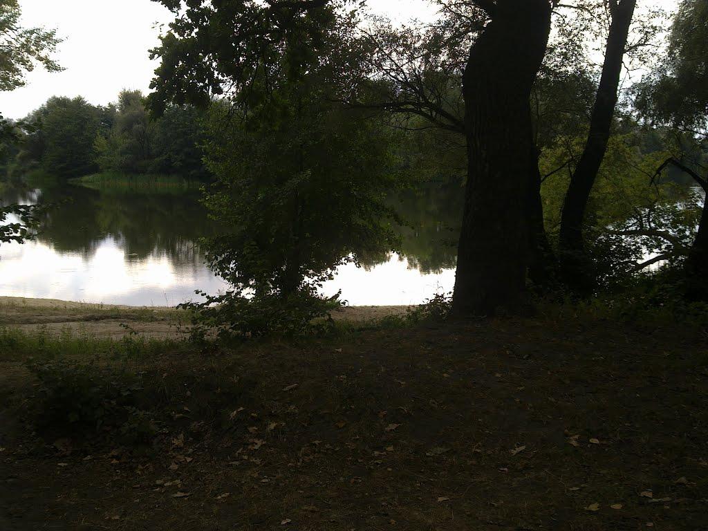 Старий Караван з panoramio.com - Старий Караван