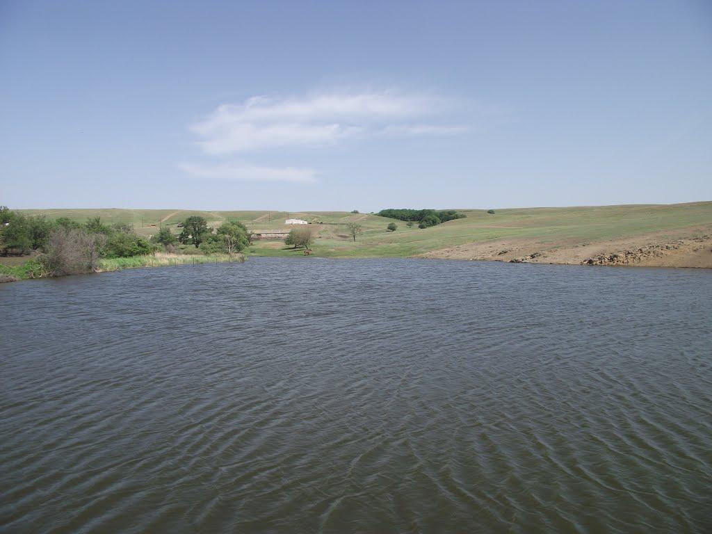 Черемшине з panoramio.com - Черемшино