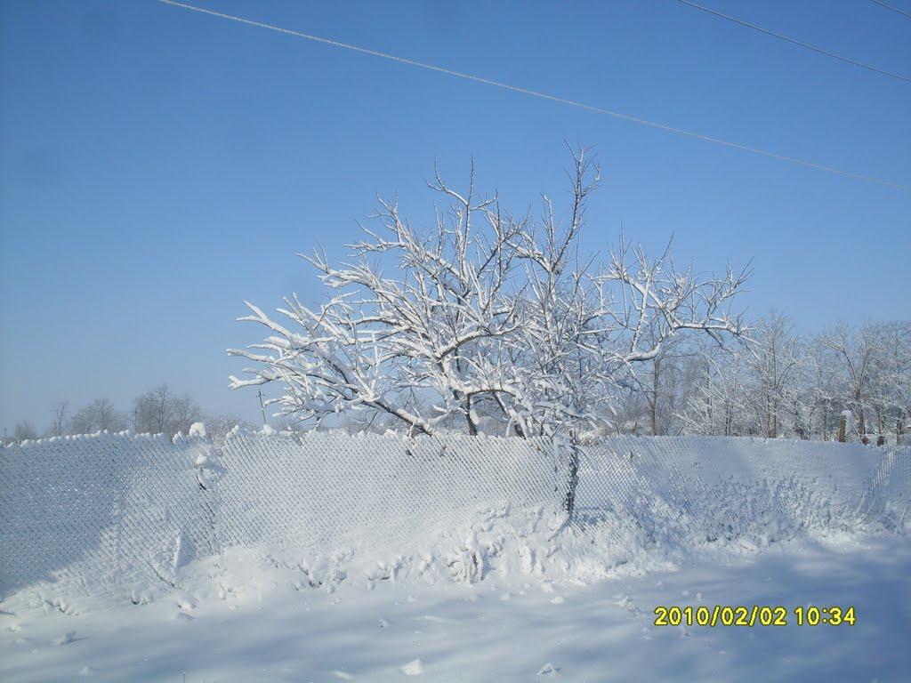 Долинівка з panoramio.com - Долинівка