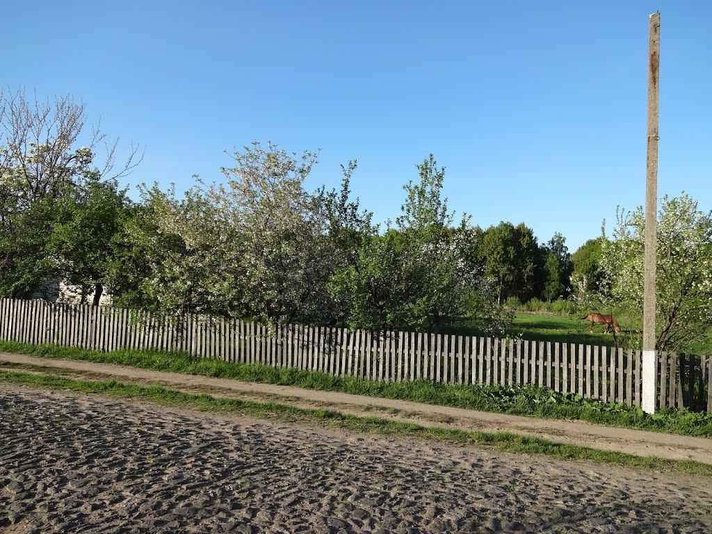 Писарівка з panoramio.com - Писарівка