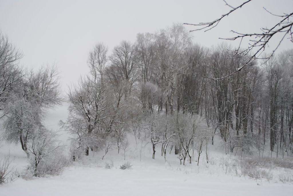 Мізоч з panoramio.com - Мізоч