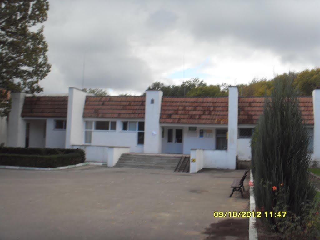 Маньківка з panoramio.com - Маньковка